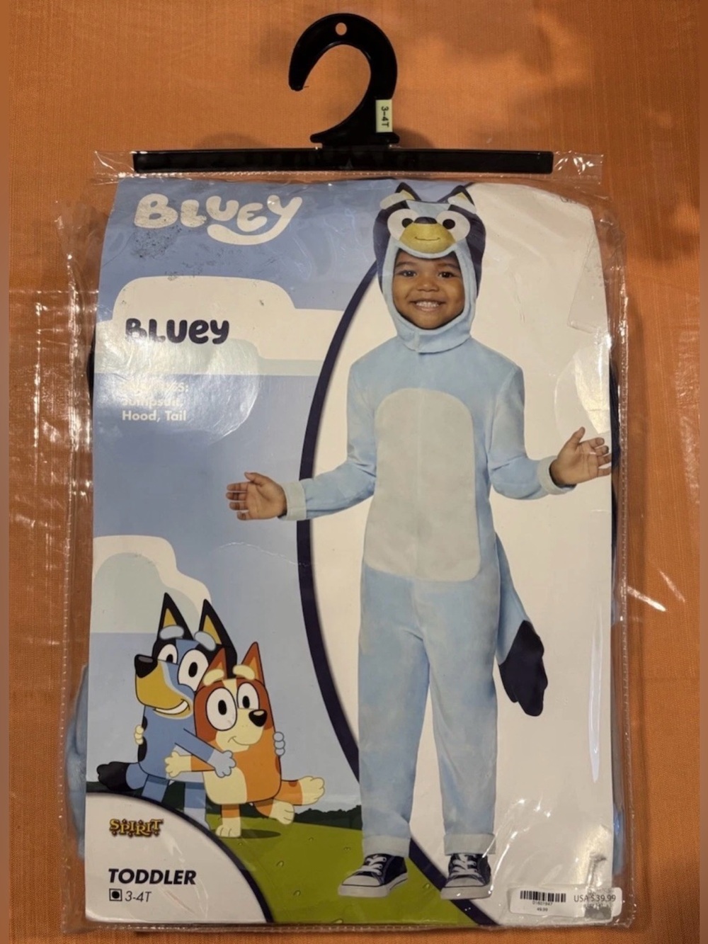 Bluey Costume Toddler Size 3T 4T Kids Halloween Dress Up TV Show EUC Cartoon